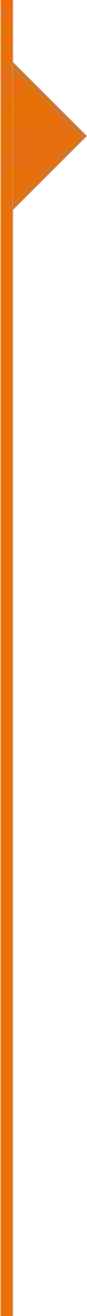 Bandera